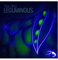 Tea Tree - Leguminous