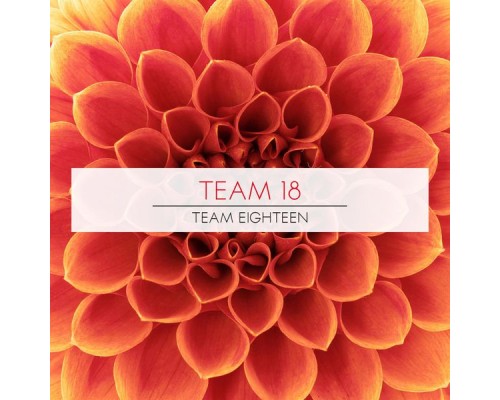 Team 18 & Indra - Team Eighteen