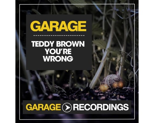 Teddy Brown - You're Wrong