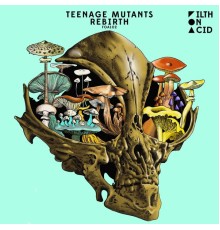 Teenage Mutants - Rebirth (Original Mix)