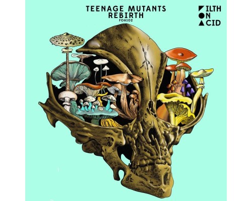 Teenage Mutants - Rebirth (Original Mix)