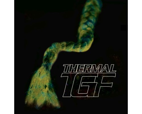 Teengirl Fantasy - Thermal