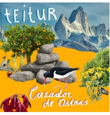 Teitur - Cazador De Ostras