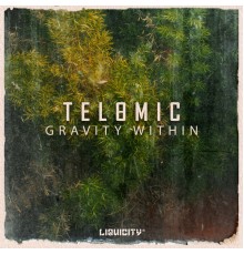 Telomic - Gravity Within