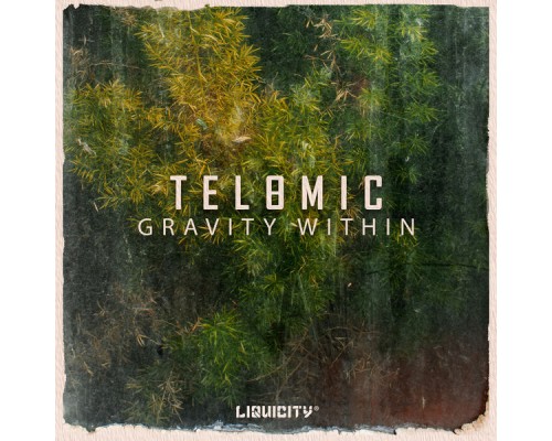 Telomic - Gravity Within