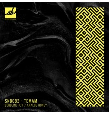 Temam - Bubbling Joy / Analog Honey