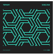 Temam - Mechanism