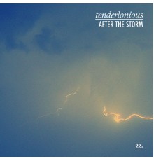 Tenderlonious - After the Storm