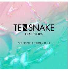 Tensnake - See Right Through