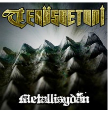 Teräsbetoni - Metallisydän