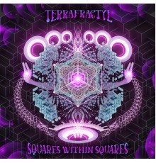 Terrafractyl - Square within Squares