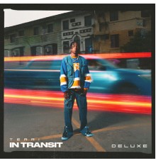 Terri - In Transit (Deluxe)