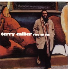 Terry Callier - Fire On Ice