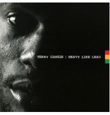 Terry Ganzie - Heavy Like Lead