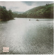 Tesir - Wanders