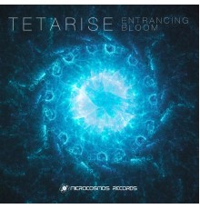 Tetarise - Entrancing Bloom