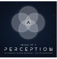 Tex - Ikigai I: Perception