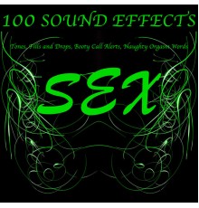 Text Tones - 100 Sex Sound Effects Tones, Fills and Drops, Booty Call Alerts, Naughty Orgasm Words