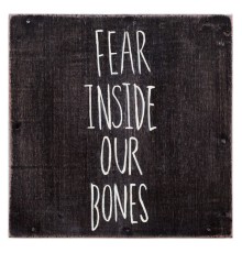 The Almost - Fear Inside Our Bones