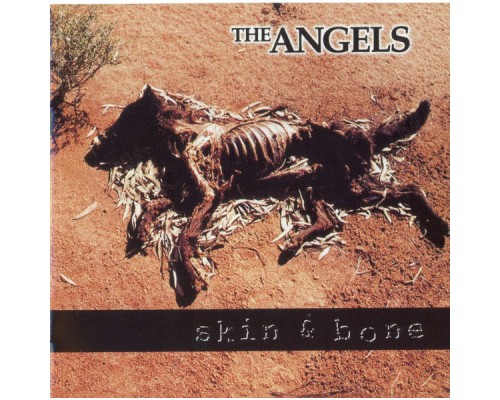 The Angels - Skin And Bone