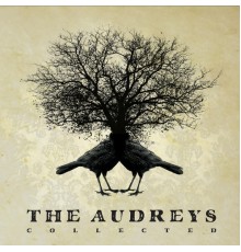 The Audreys - Collected