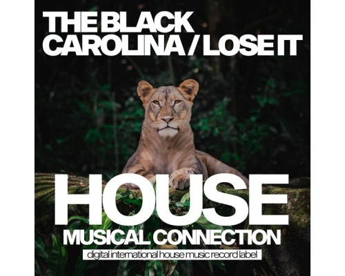 The Black Carolina - Lose It