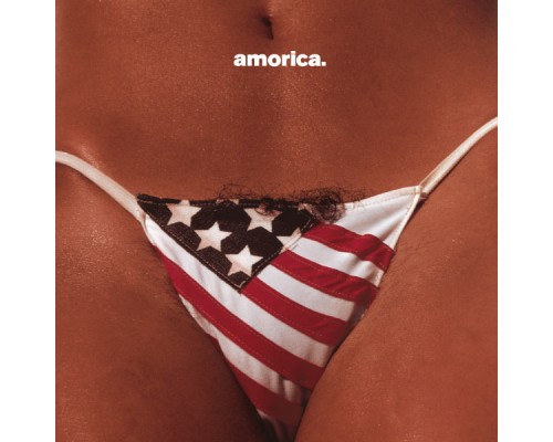 The Black Crowes - Amorica.