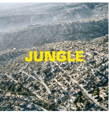 The Blaze - JUNGLE