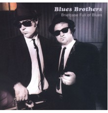 The Blues Brothers - Briefcase Full of Blues (Live)