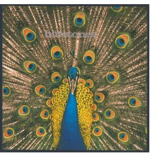 The Bluetones - Expecting To Fly