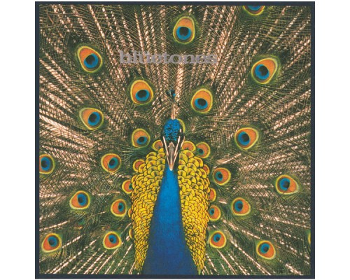 The Bluetones - Expecting To Fly