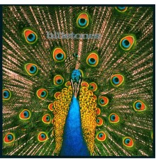 The Bluetones - Expecting To Fly