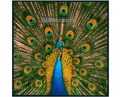 The Bluetones - Expecting To Fly