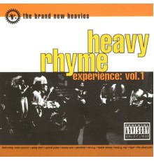 The Brand New Heavies - Heavy Rhyme Experience Vol. 1