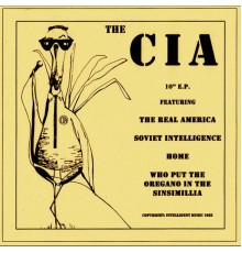 The C.I.A. - The Real America