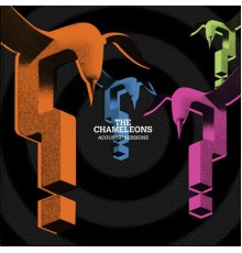 The Chameleons - Acoustic Sessions