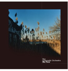 The Cinematic Orchestra - Ma Fleur