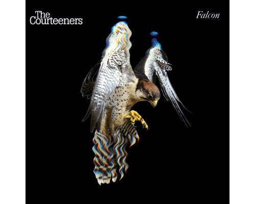 The Courteeners - Falcon