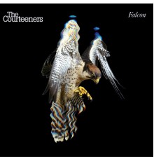 The Courteeners - Falcon