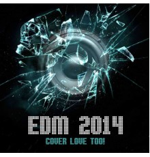 The Cover Lovers - EDM 2014