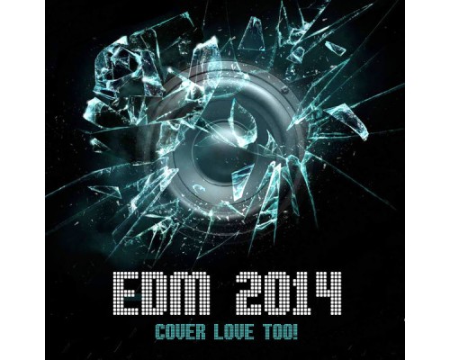 The Cover Lovers - EDM 2014