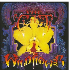 The Cult - Wild Flower