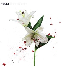 The Cult - Hidden City