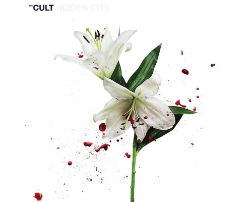 The Cult - Hidden City