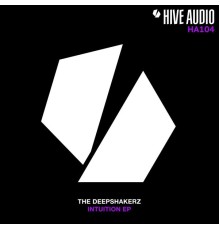 The Deepshakerz - Intuition