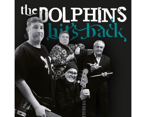 The Dolphins - Hits Back