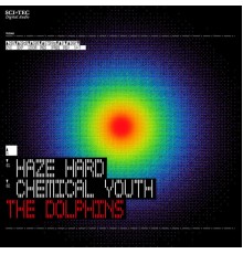 The Dolphins - Haze Hard