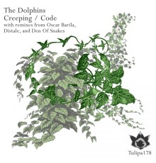 The Dolphins - Creeping / Code