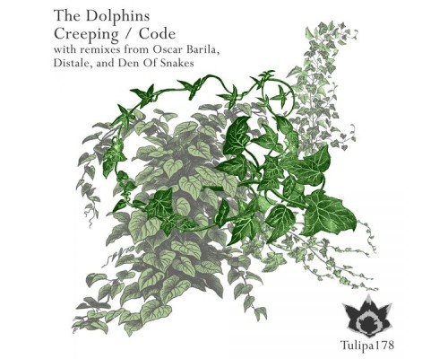 The Dolphins - Creeping / Code