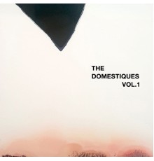 The Domestiques - Vol. 1